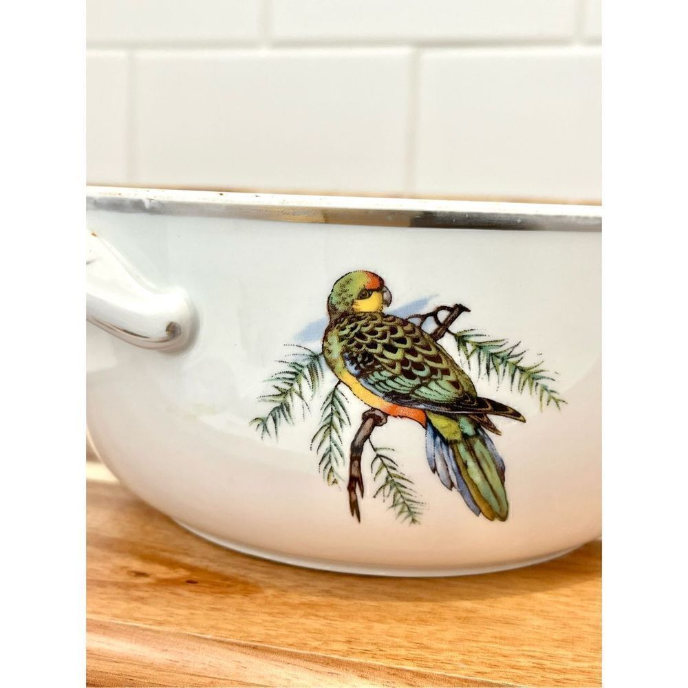 Rare Vintage Pillivuyt France Covered Tureen | Exotic Birds Porcelain - Picture 10 of 12